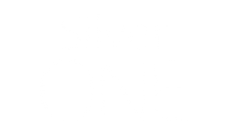 Silver ONE – CallONE